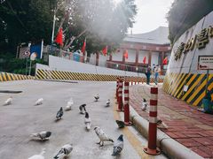 -广州人民艺术中心