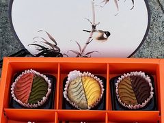 -小淘圆儿·四季口味蛋糕