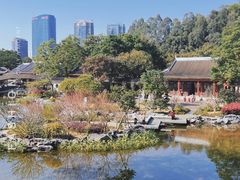 -顺峰山公园