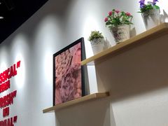 -吉祥馄饨(上海新上大店)