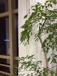 -JNK皮肤管理中心