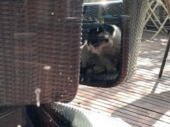 -花亭(仲盛世界商城店)