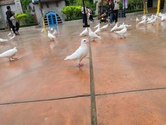 -济南方特东方神画