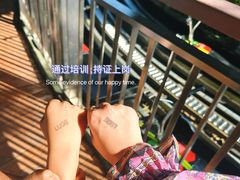 -圣淘沙天际线斜坡滑车