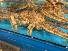 -海铺·渔家虾水饺(皇姑店)