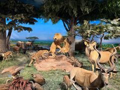 -国家自然博物馆