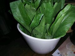 油麦菜-润青四季音乐主题餐厅·椰子鸡(罗湖店)