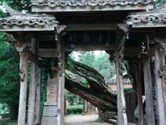 -云中大漈