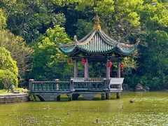 -江心屿景区