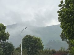 -树山生态村