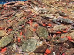 -一方渔歌蒸汽海鲜自助(文化路万达广场店)