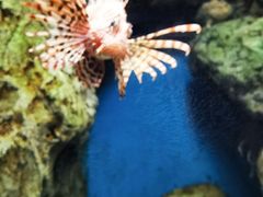 -福州罗源湾海洋世界旅游区