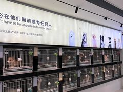 -翊宠yipet猫狗购宠庄园犬舍•猫舍