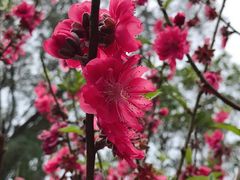 -桃花涧