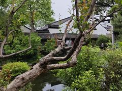 -南京市民俗博物馆(甘熙故居)