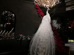 -滇野云南野生菌餐厅(陕西南路店)