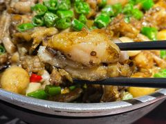 -蛙小侠(卓悦里店)