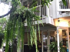 -Fern Forest Cafe