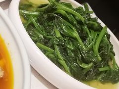 -拈菜(观音桥阳光世纪店)