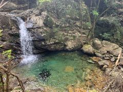 -祁门牯牛降观音堂风景区