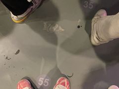 -SNH48星梦剧院