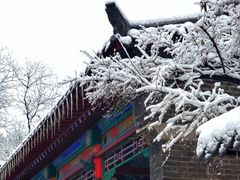 -济南大明湖景区
