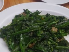 -乌文新澄海卤鹅店