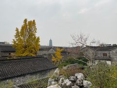 -芥子园