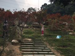 -广州市帽峰山景区
