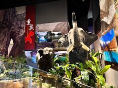 -武汉园博园(武汉自然博物馆)