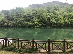-白马涧龙池景区