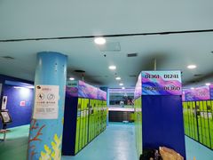 -水立方嬉水乐园