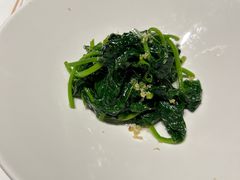 -觀芷隐轩