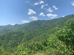 -北京鹫峰国家森林公园