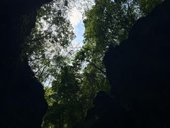 -牛背梁国家森林公园