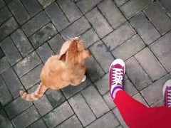 -杭州少年儿童公园