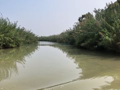 -泗洪洪泽湖湿地景区