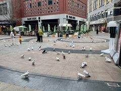 -中粮·祥云小镇