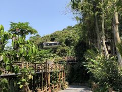 -海南槟榔谷黎苗文化旅游区