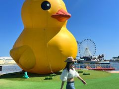 -秦皇岛乐岛海洋王国