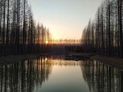 -黄海国家森林公园