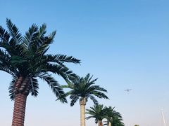 -湖州太湖旅游度假区-月亮广场