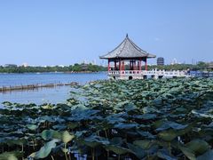 -济南大明湖景区