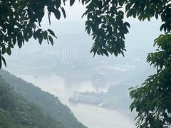 -铁山坪森林公园