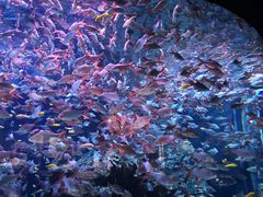 -成都浩海立方海洋公园