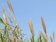 -华南国家植物园-售票处