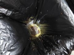 -幸福西饼生日蛋糕·下午茶(闵行店)