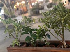 -星巴克(南宁华润幸福里店)
