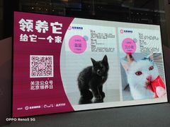 -远洋未来广场(育慧北路店)