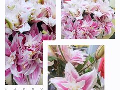 -植物学家的女儿(北马道巷店)